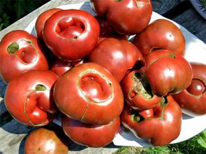 как выбирать помидоры вкусные помидоры натуральные